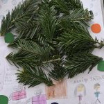 Liliana Krol kl. 2 51